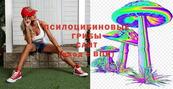 тгк Козельск