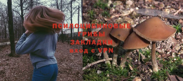 тгк Козельск