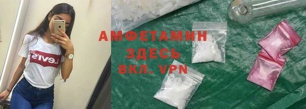 индика Кодинск