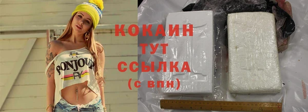 индика Кодинск