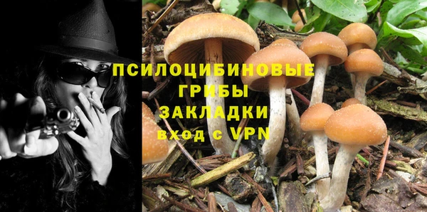 кокаин Козловка