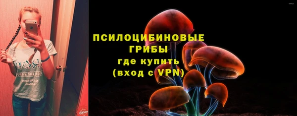 индика Кодинск