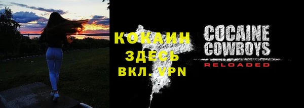 тгк Козельск