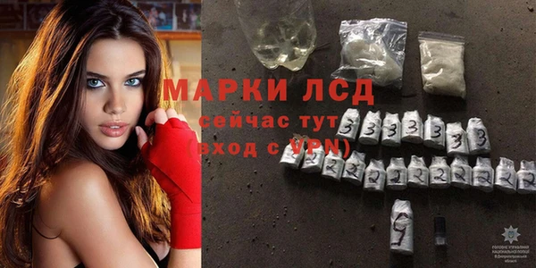индика Кодинск