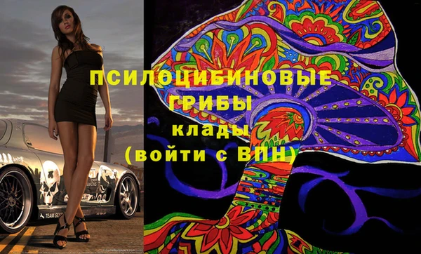 индика Кодинск