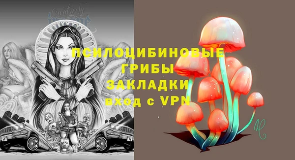 тгк Козельск