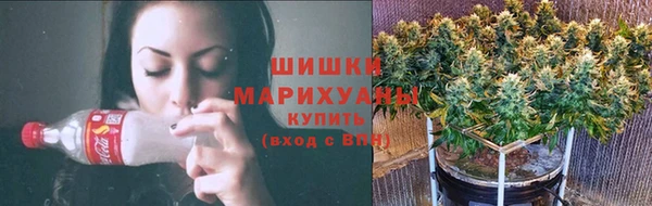 индика Кодинск