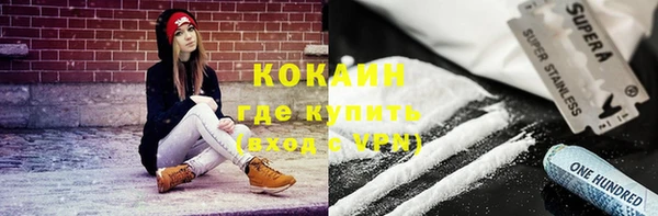 индика Кодинск