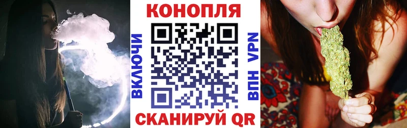 Бошки Шишки VHQ  Купить где  Гулькевичи 